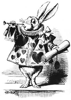 Chase the White Rabbit