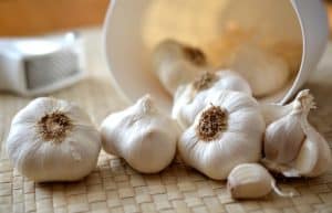 Elicit vs. Illicit - with garlic