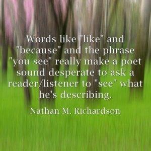 Nathan M Richardson quote