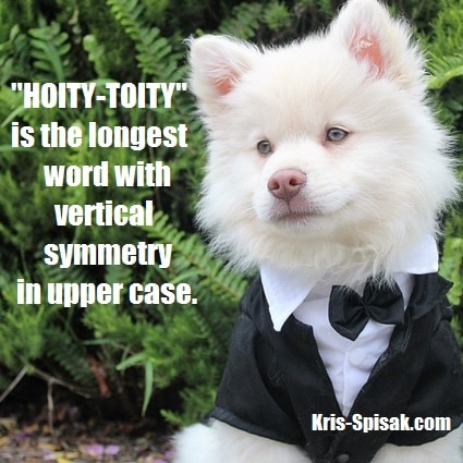 hoity-toity dog