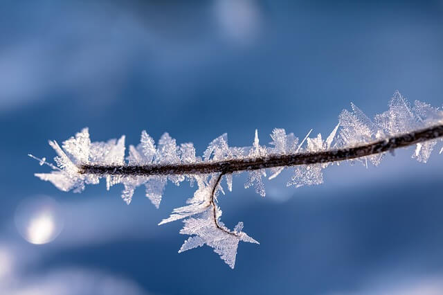 Words That Mean The Same As Bitterly Cold